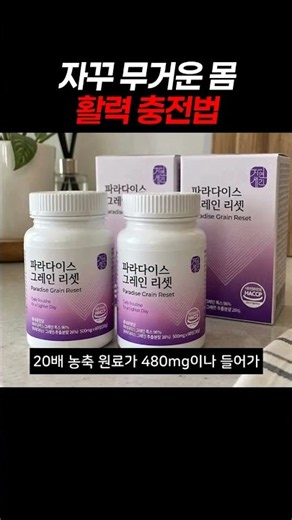 자꾸 무거운 몸 활력 충전법 #파라다이스그레인 #6파라돌 #대사율UP