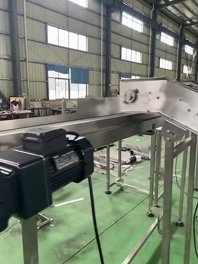 Maxsen stainless steel wire mesh belt conveyor testing video