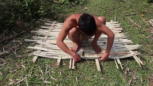 Primitive technology: House in the trunk
