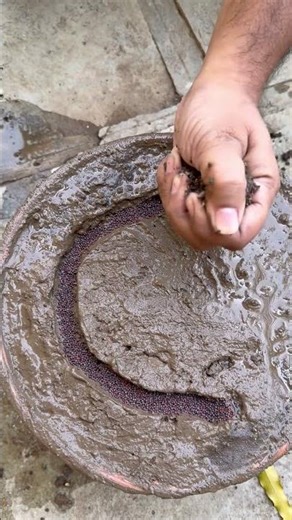 Magical Letter “C” with seeds ☘️🍀