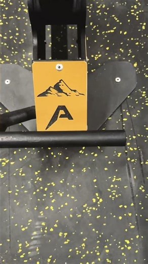 New Adjustable Bench By Alphabellz. #shorts