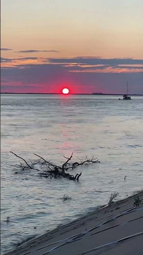 sunset sailing | calm evening on the water #shorts #river #nature #sunset