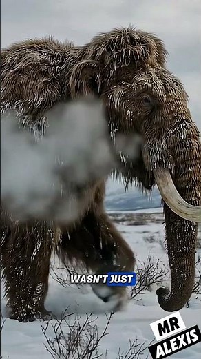 The Mammoth: Giant of the Ice Age