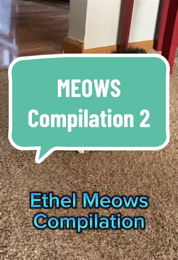 Ethel the Cat's Adorable Meow Compilation