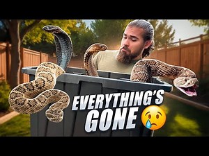Selling my Entire VENOMOUS SNAKE Collection...