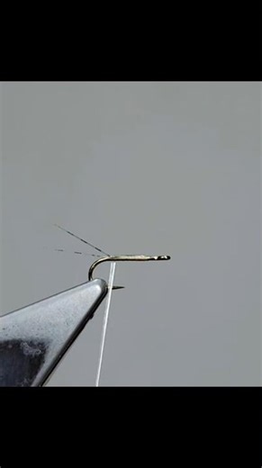 Tying one of the simplest and most effective trout flies ever designed- RS2 emerger. #flytying