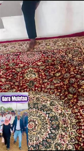 Dabbal Motii: Oromo TikTok Music & Dance Trends