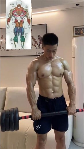 Barbell Row Workout Q #gymrat #gym #fitness #shorts