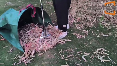 Leaf Rake for Lawns with 53 Gallon Dustpan-Type Leaf Bags,Heavy Duty Metal Garden Yard Rake Long Handle with Expandable Head 7-14" for Gardening Outdoor Camping Shrub Grass Bush Weed