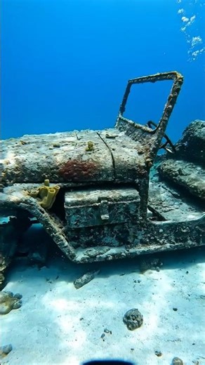 Finding a WWII Ammo Box in a Coral-Encrusted Jeep 🪖