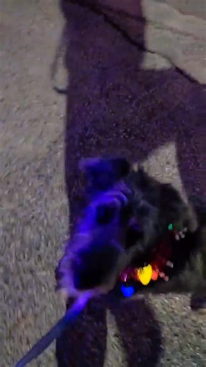 29K views · 978 reactions |  Ms. Potato Chip – Crunch Time Companion...