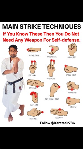 The image illustrates various hand strike techniques used in martial arts for self-defense, emphasizing that mastering these can negate the need for weapons. Diverse Hand Formations: The image displays a range of hand positions for striking, including Panther Strike, Falcon Strike, Normal Fist, Soft Cobra, Dual Spears, Normal Strike, Open Hand, Hammer Fist, Back Knuckle Strike, Tiger's Claw, Back Fist, Single Spear, and Ridge Hand. Self-Defense Focus: The central message highlights that proficie