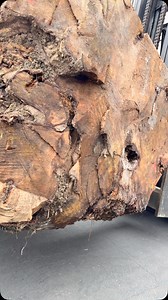 Not your average log. Not your average forklift. | GL Veneer, Inc.