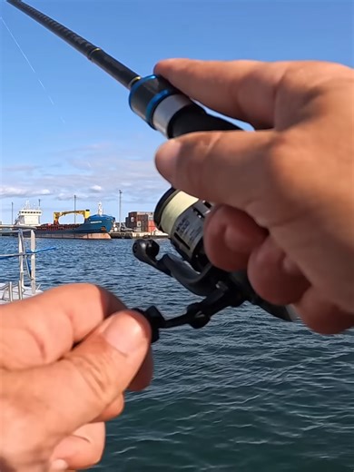 Subscreve ao canal https://youtube.com/@azoresangler