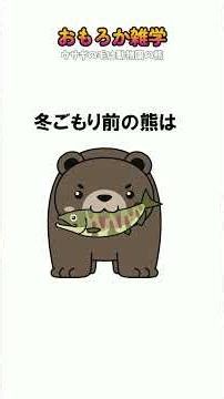 【意外な自然雑学】ウサギの毛生え変わりは？動物園の熊が冬眠しない理由【豆知識 トリビア 教養 おもしろい】＃short