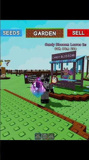What Happens To Shard if Candy Blossom crafting is gone? 😱 Grow A Garden