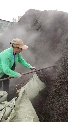 The process of loading humus soil into sacks