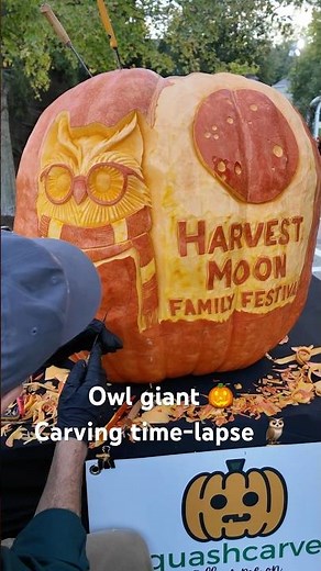 Owl giant pumpkin carving timelapse 🎃🦉#GiantPumpkin #PumpkinCarving #timelapse #halloween #foodart