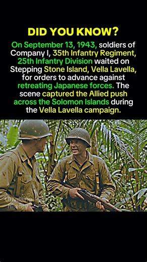 September 1943: U.S. Infantry Advance on Vella Lavella | WWII History