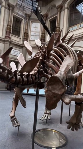 Life Burns Faster (Master of Puppets Metallica) Alien Chaos & Nevermind