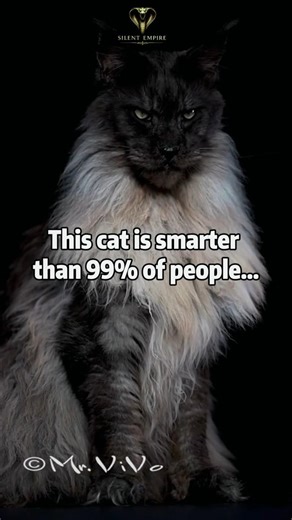 This Cat Is Smarter Than 99% of People About Money 🐱 #richmindset