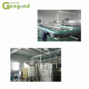 [Hot Item] Fully Automatic Strawberry Jam Machine