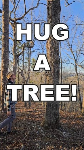 Go Hug A Tree! #treehugger #hug #naturelover #mentalhealth #reducestress #improvefocus #shorts #hug