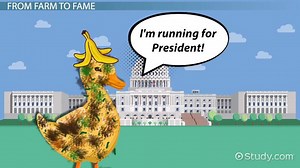 Duck for President by Doreen Cronin | Summary, Setting & Analysis