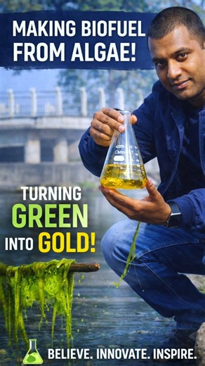 Making Biofuel From Algae #viral #biofuel #inventions #facts #trending