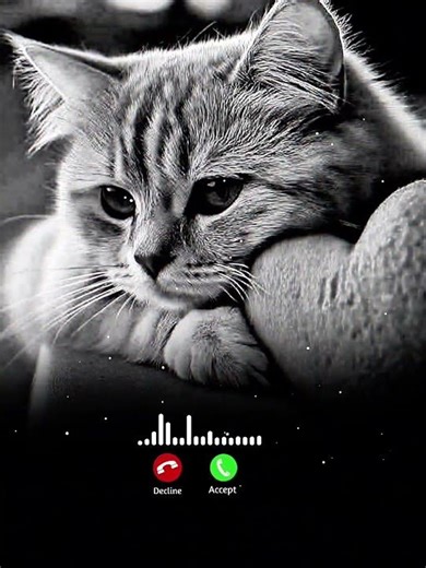 Billu Badmosh is sad🥺 Ringtone Download Link 🔽