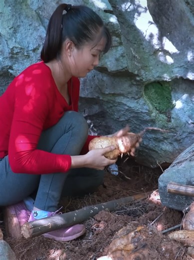 Wild Tuber and Ganoderma Mushroom Timelapse Harvest