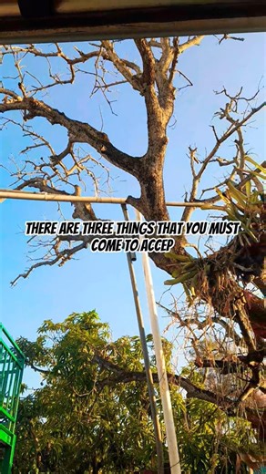 There Are Three Things That You Must Come To Accep #denzelwashington #shorts #motivationalspeech