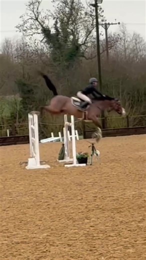 Toronto Competition Highlights: Double Clears and Silver Medal