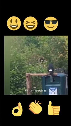 saf safaee per dhyan do