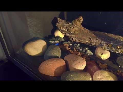 Comment allumer son foyer (Pilot)