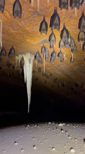 wo cars trapped in a desert cave for decades 😱 | Forever Classics