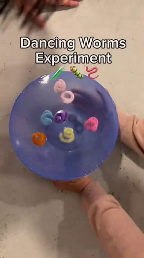 Dancing Worm Experiment: Fun Science Activity at Home