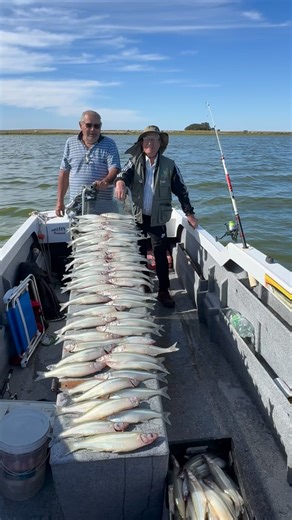 Miércoles 25 de FEBRERO iniciando la temporada con la gente de Hernando Córdoba Otra muy buena pesca !!!! Laguna cuero de zorro no deja de sorprender 🎣🔥 🚨Temporada 2026 🎣 Laguna cuero de Zorro, complejo lado America 🚤 Trakers con guia Trakers sin guia 🏠 Hospedaje 🏕️ Camping 🐟 Carnada 🎣Equipos 🦈Fileteado 💣🔥🥳 📱📱📱 2355444100 Marcial Su consulta no molesta ! 🐟🎣👌 | Marcial Garcia Vercillo