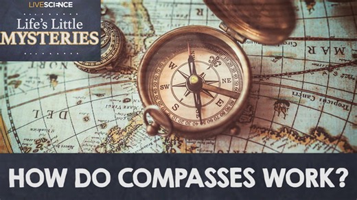 How do compasses work?