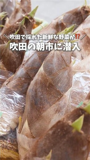 Got some Suita-grown vegetables at the morning market! [Suita Tube] #short