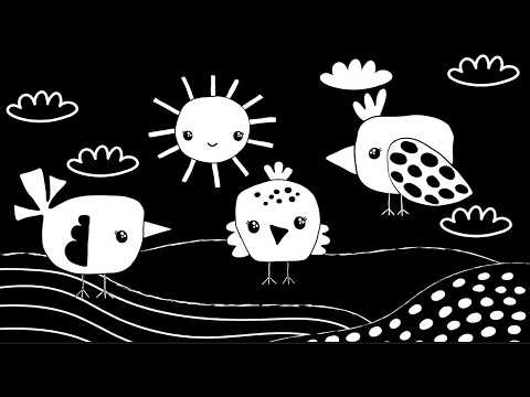 Happy Spring Adventure | Fun Baby Sensory video | Black White High Contrast Classical Mozart music