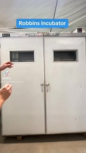 2.6M views · 36K reactions | Quick lesson on how to incubate Northern Bobwhite Quail Eggs. Remember guys not all eggs are the same! #howto #ReTokforNature #fypシ゚viralシ #quailladybrittany #hatchingeggs #eggs #bobwhitequail #learnontiktok | Quail Lady Brittany Freedom Flyers | Facebook