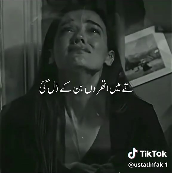 NFAK Song Lyrics Status: Heartfelt Melodies