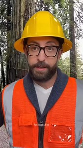 29K views · 464 reactions | The most legendary tree | Adam Fans | Facebook