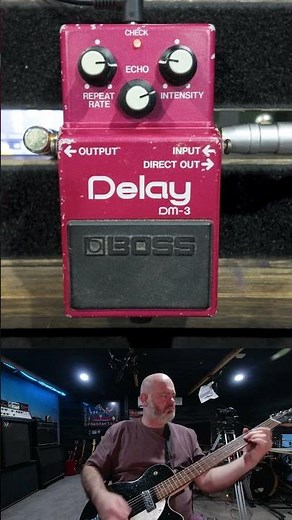 BOSS DM-3 Delay Slap back settings