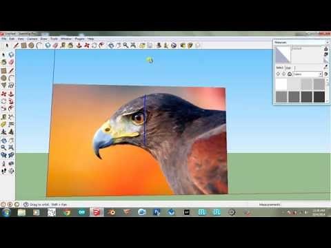 Easy to make birds in sketch up
