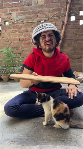 Big bro happy birthday surprise gift prank with cat #shorts