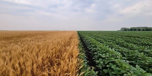 Understanding ag policy past and present to design a better future