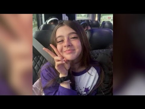 Family of Violet Harris seeks answers after deadly hit-and-run in Chicago