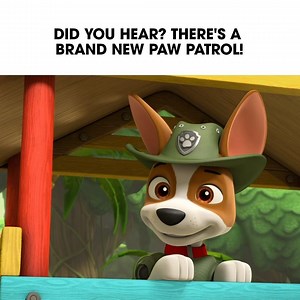 One of your kid's favorite pups, Tracker, is back in the new episode of PAW Patrol Friday at 12p/11c on Nickelodeon 🐶 | Nick Jr.